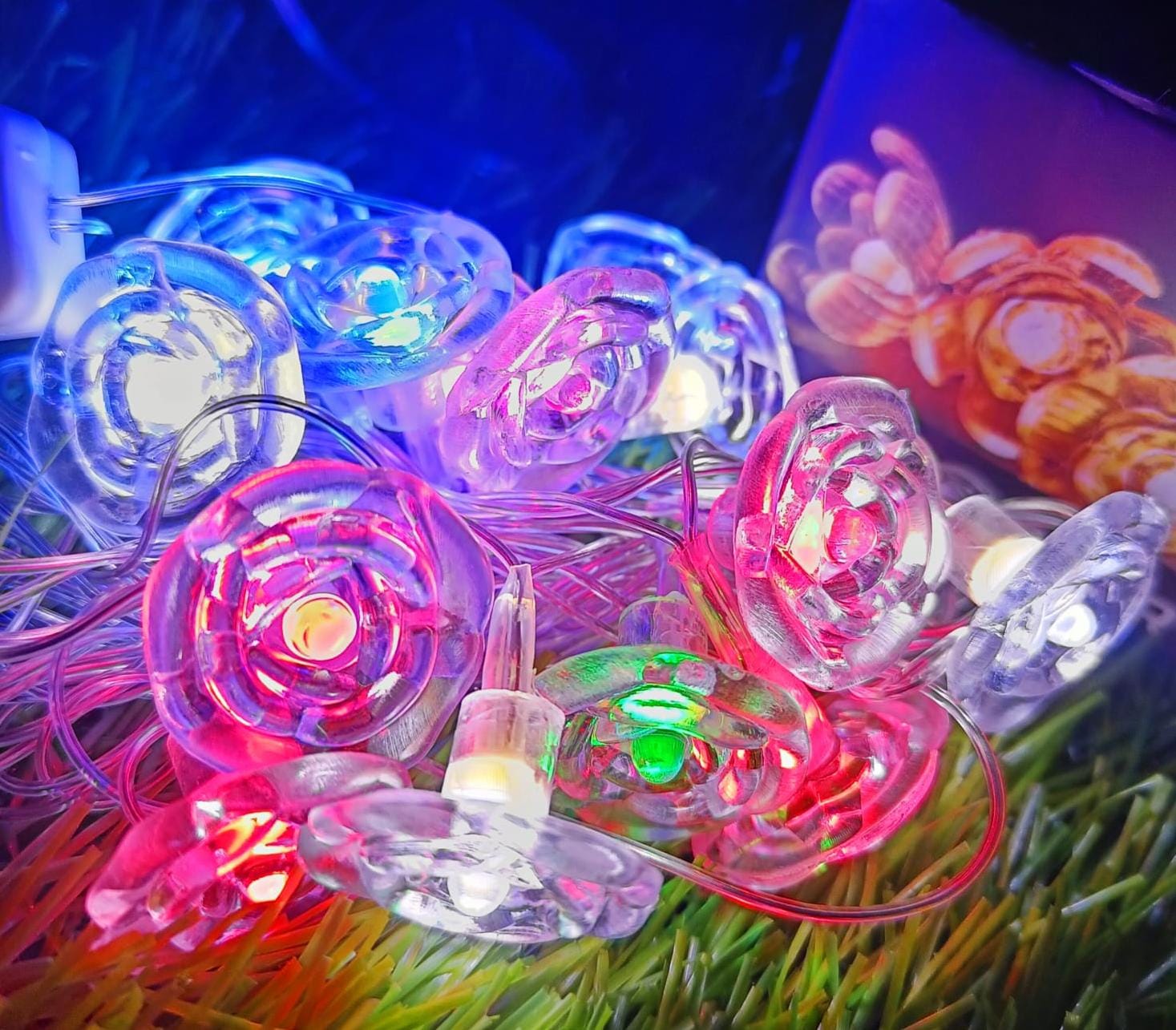 Multicolour French Rose String Light (14 Rose)