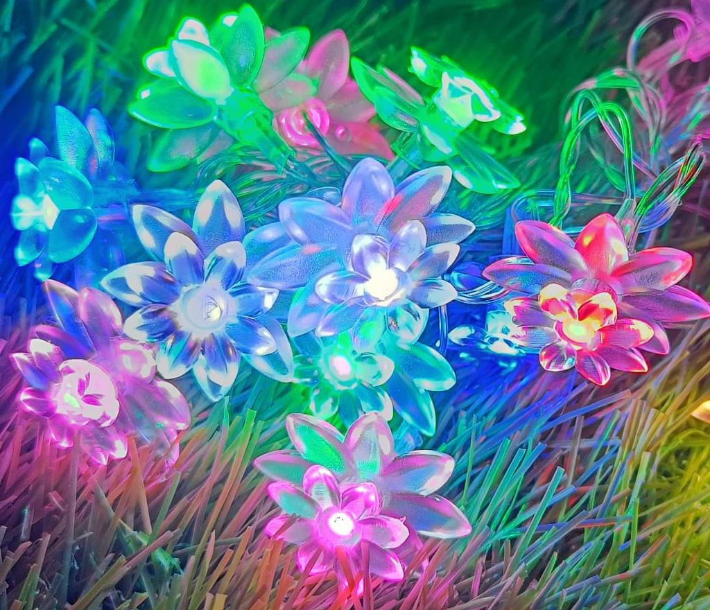 Multicolour Double Lotus String Light (14 Flower)