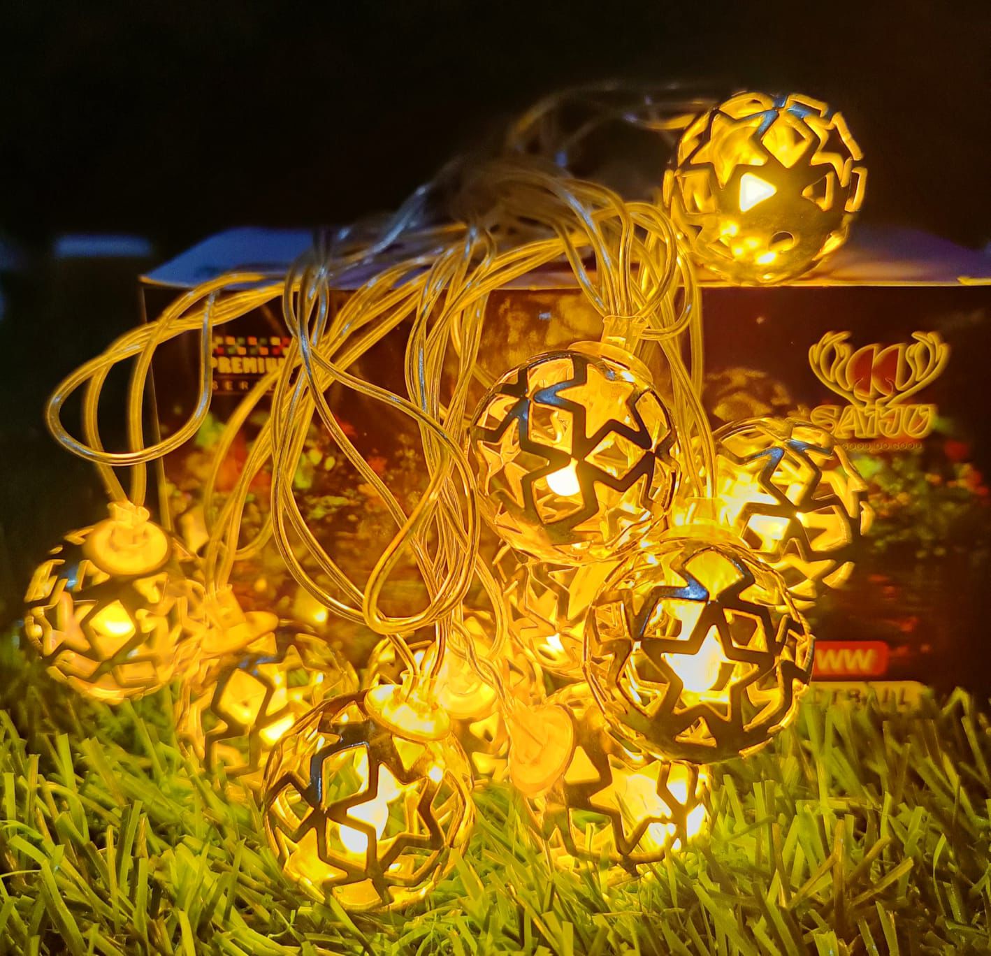 Silver Metal Gola String Light (10 Ball)