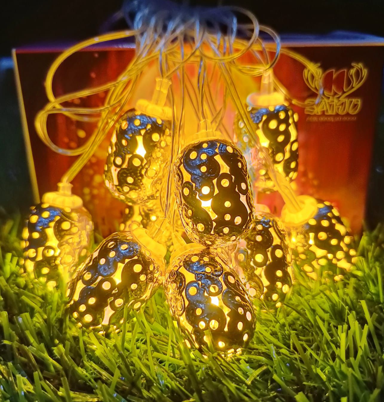 Silver Metal String Light (10 Blub)