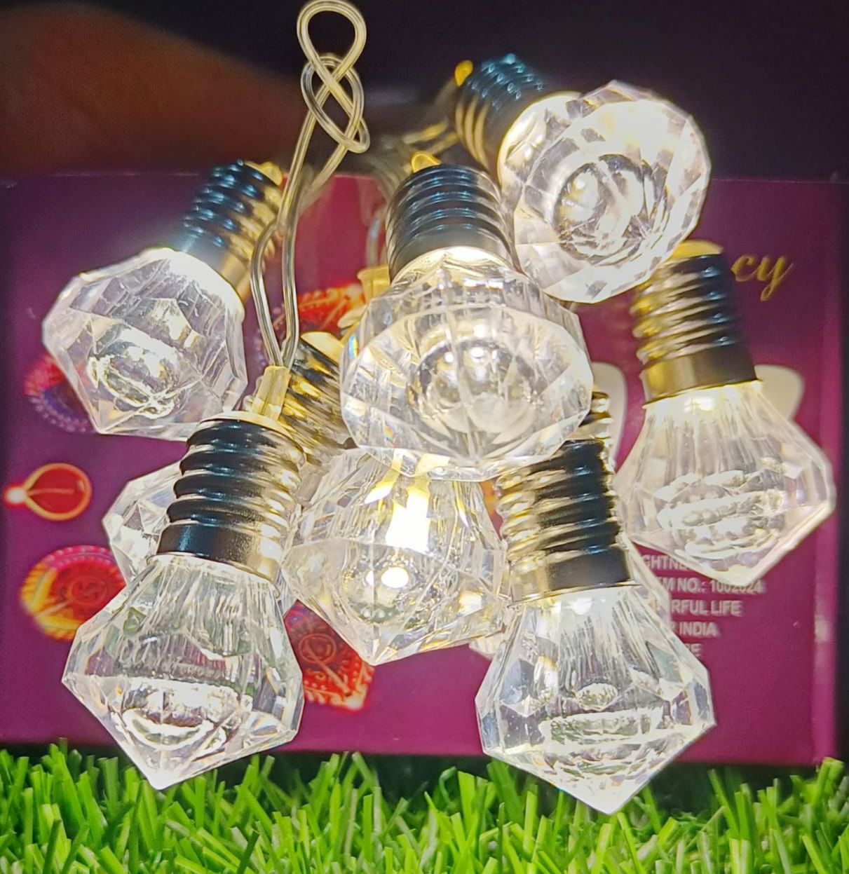 Big Holder Design Crystal Bulb String Light (10 Bulb)