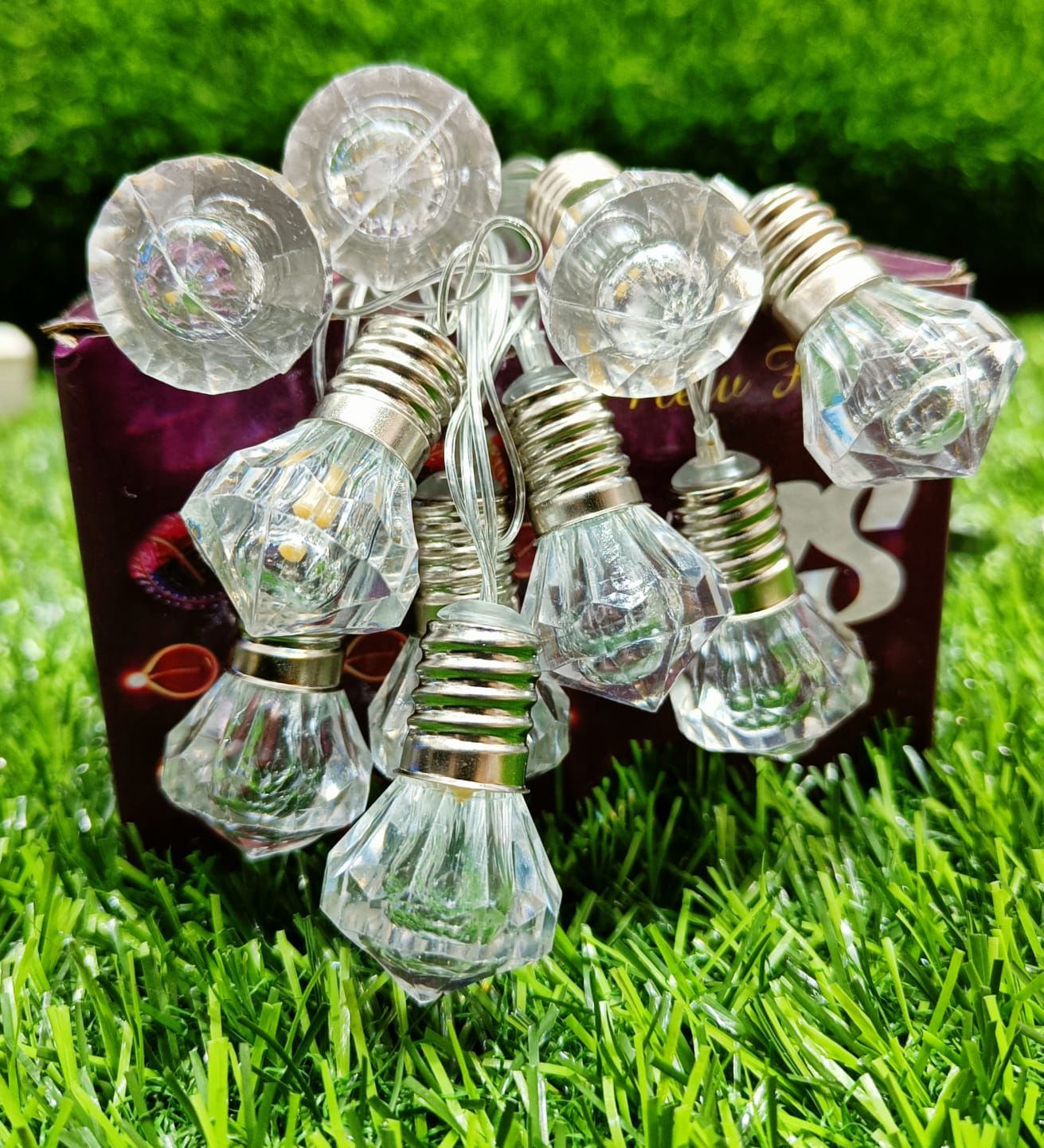 Big Holder Design Crystal Bulb String Light (10 Bulb)