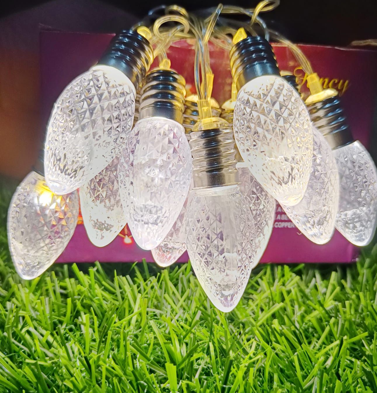 Big Holder Design Crystal Bulb String Light (10 Bulb)