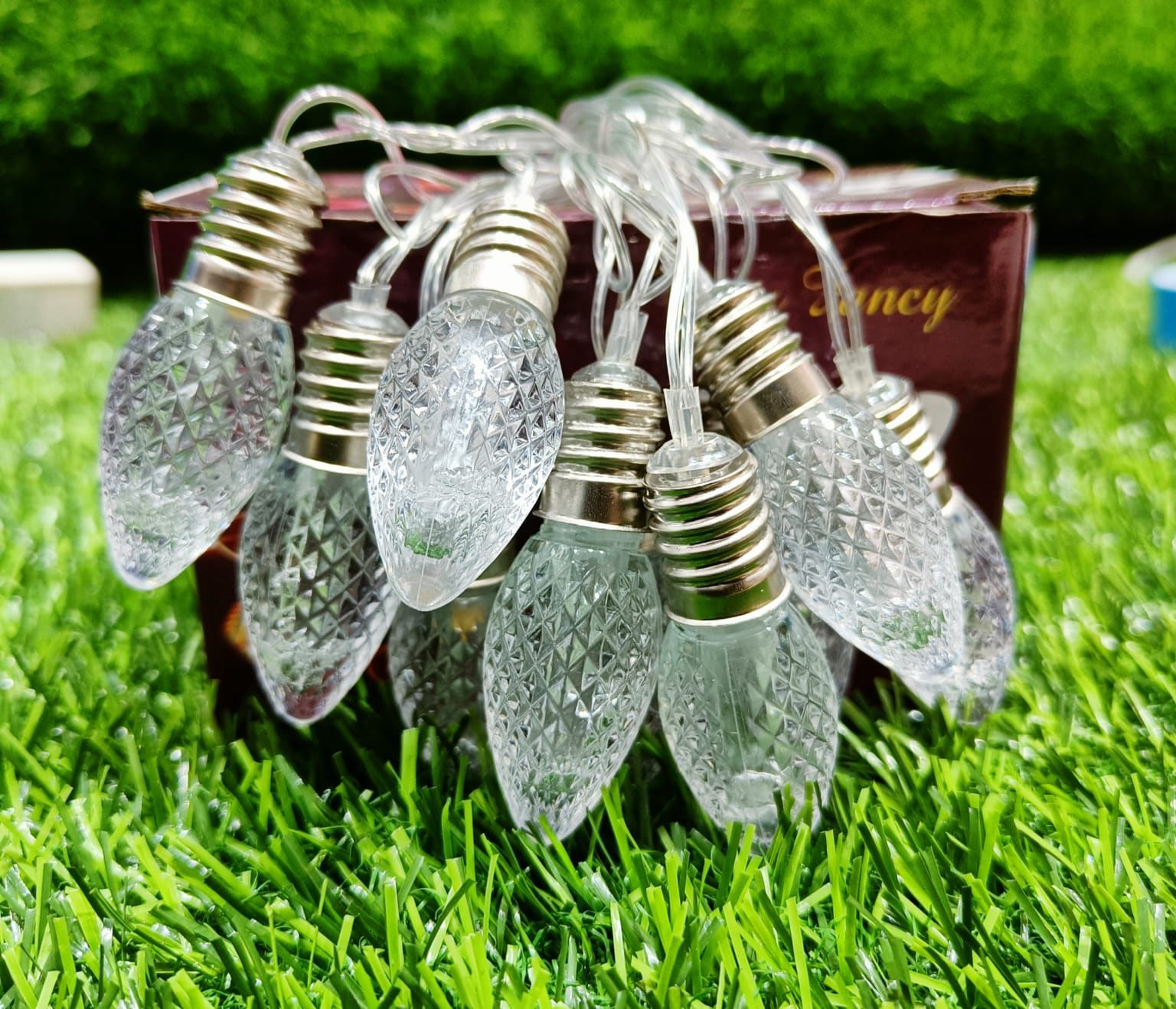 Big Holder Design Crystal Bulb String Light (10 Bulb)